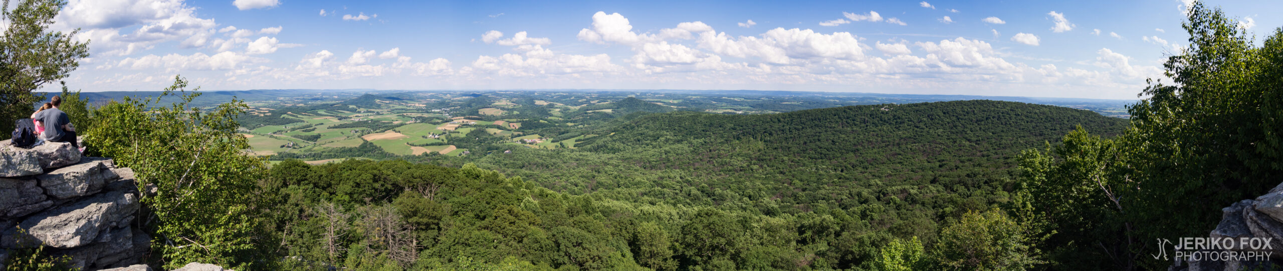 JFRM-2017-06-9122-Pano