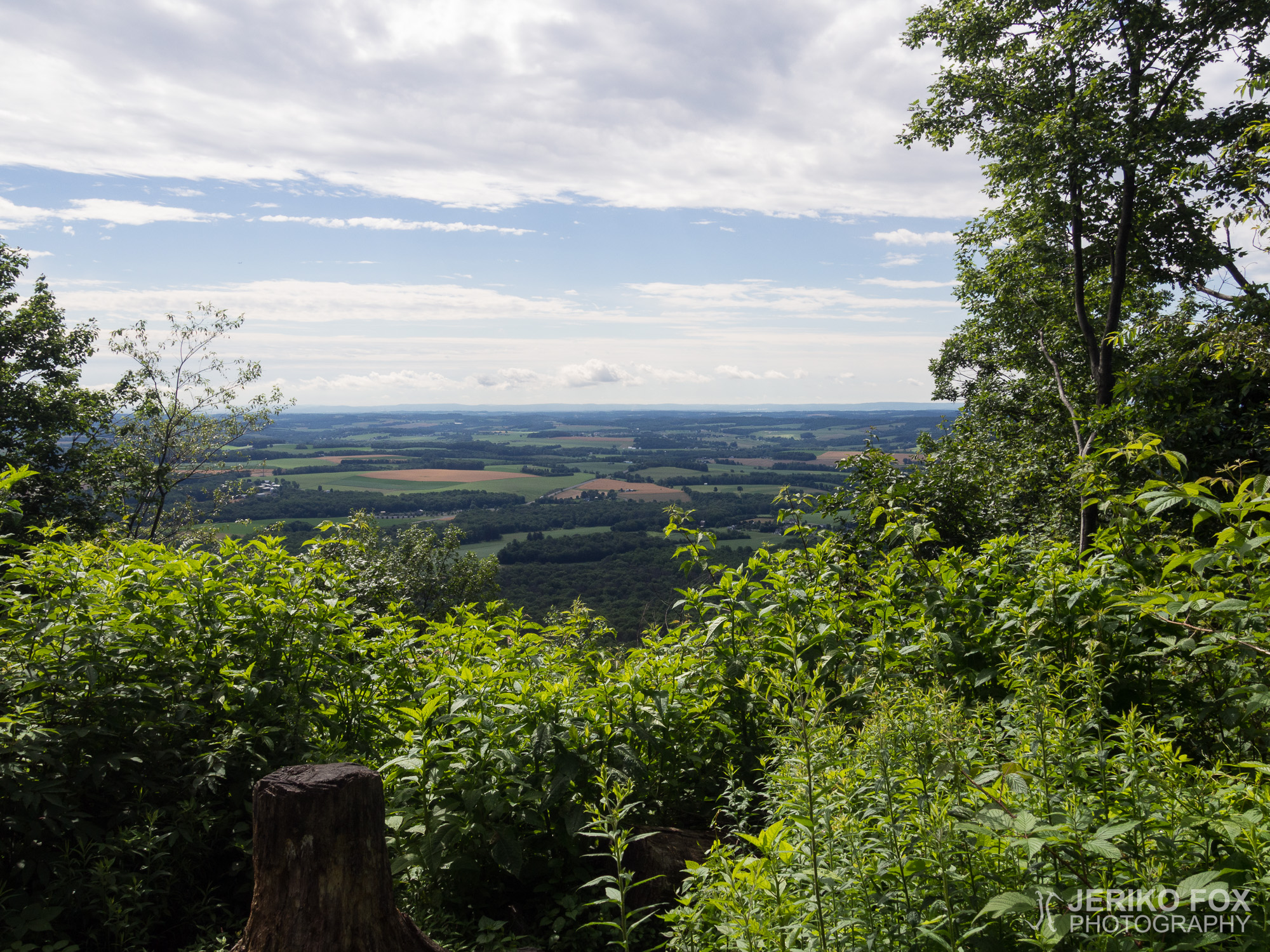JFRM-2017-06-9149