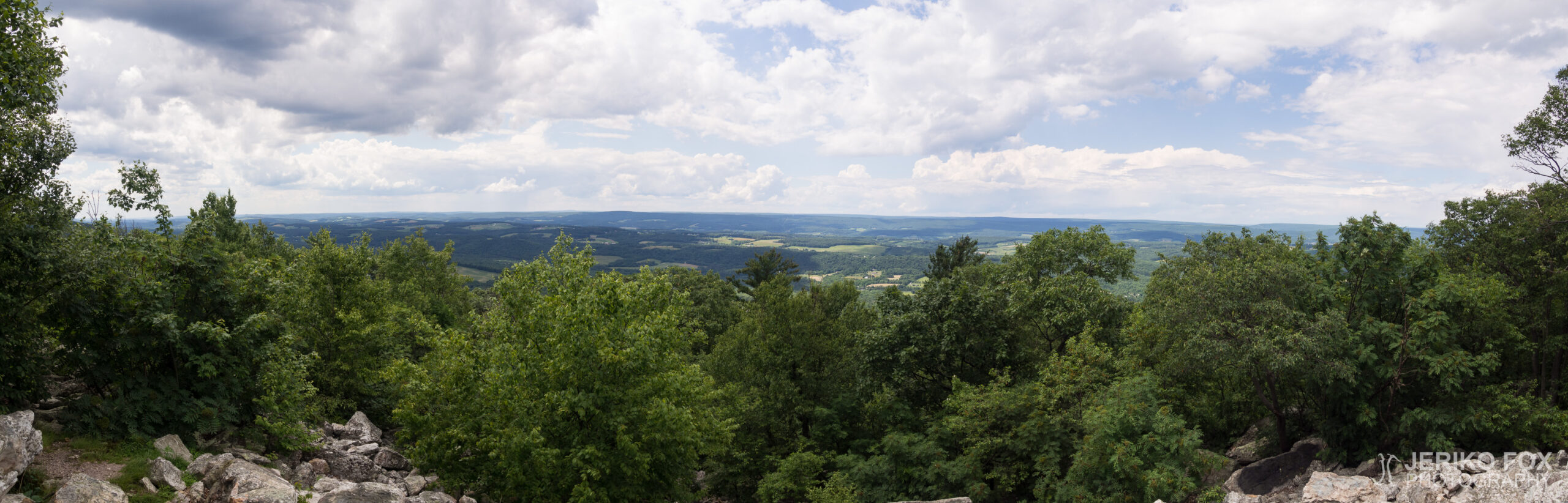 JFRM-2017-06-9158-Pano
