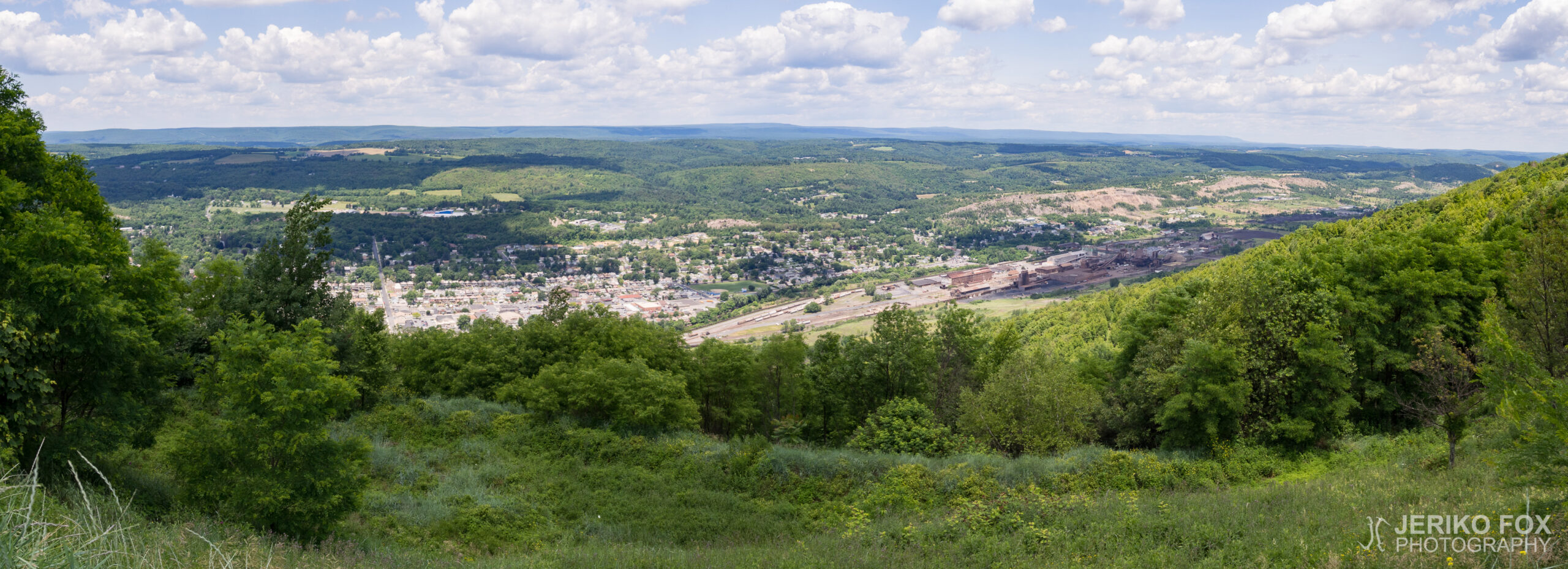 JFRM-2017-06-9191-Pano