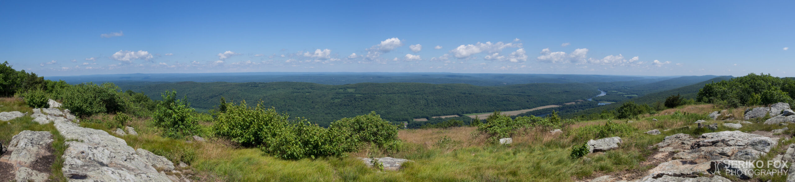 JFRM-2017-07-9236-Pano
