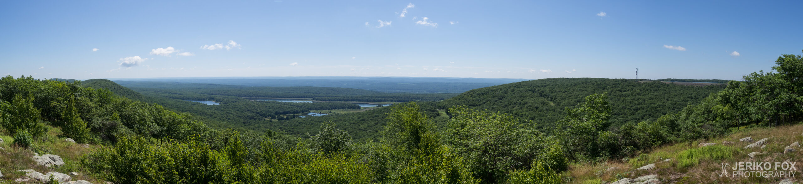 JFRM-2017-07-9241-Pano
