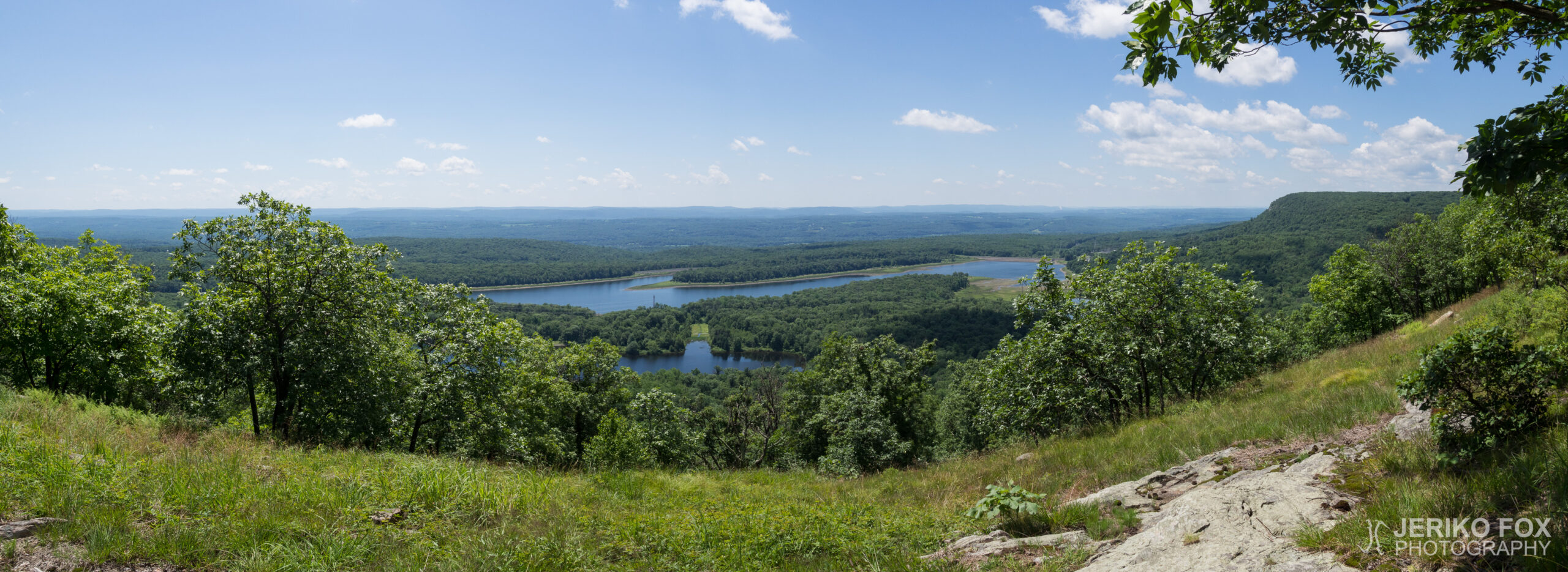 JFRM-2017-07-9248-Pano