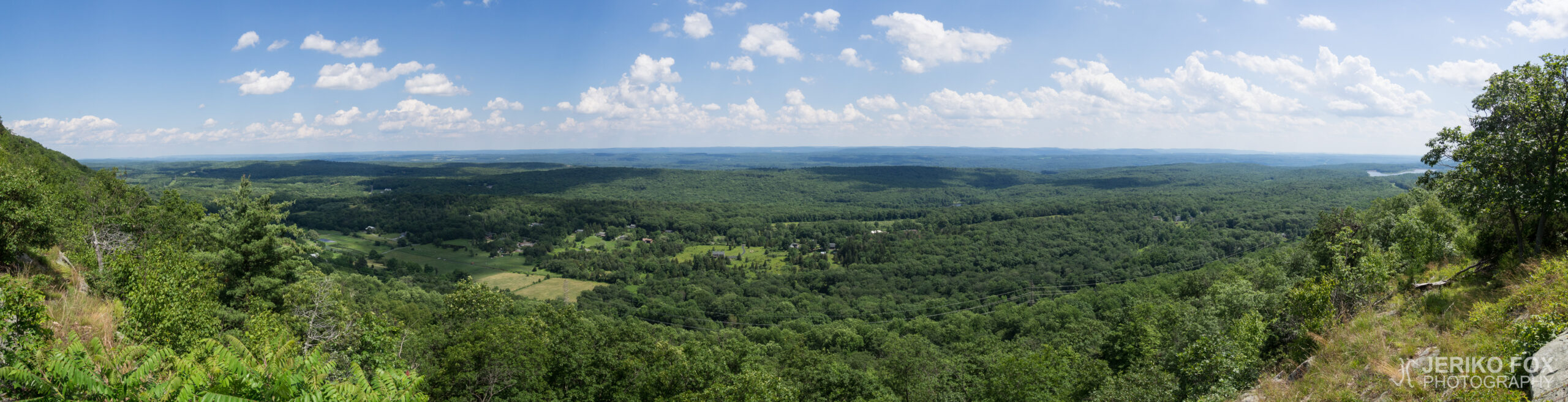 JFRM-2017-07-9255-Pano