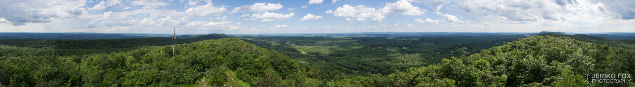 JFRM-2017-07-9262-Pano-2