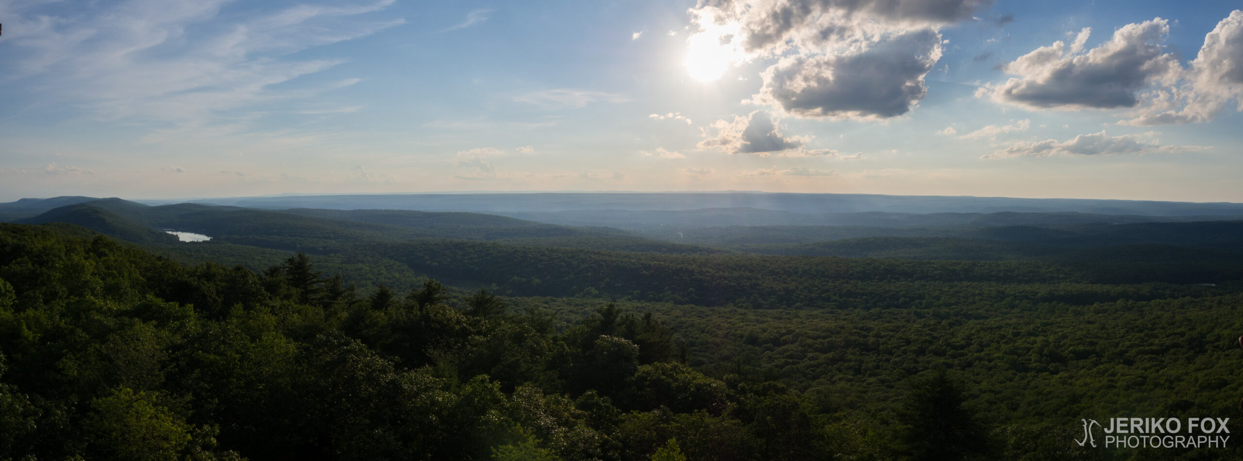 JFRM-2017-07-9304-Pano