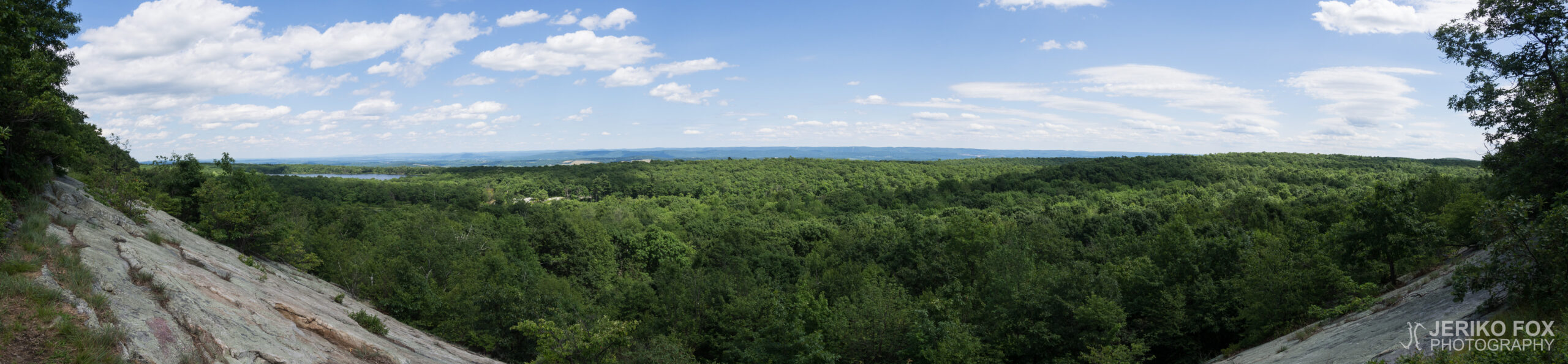 JFRM-2017-07-9333-Pano
