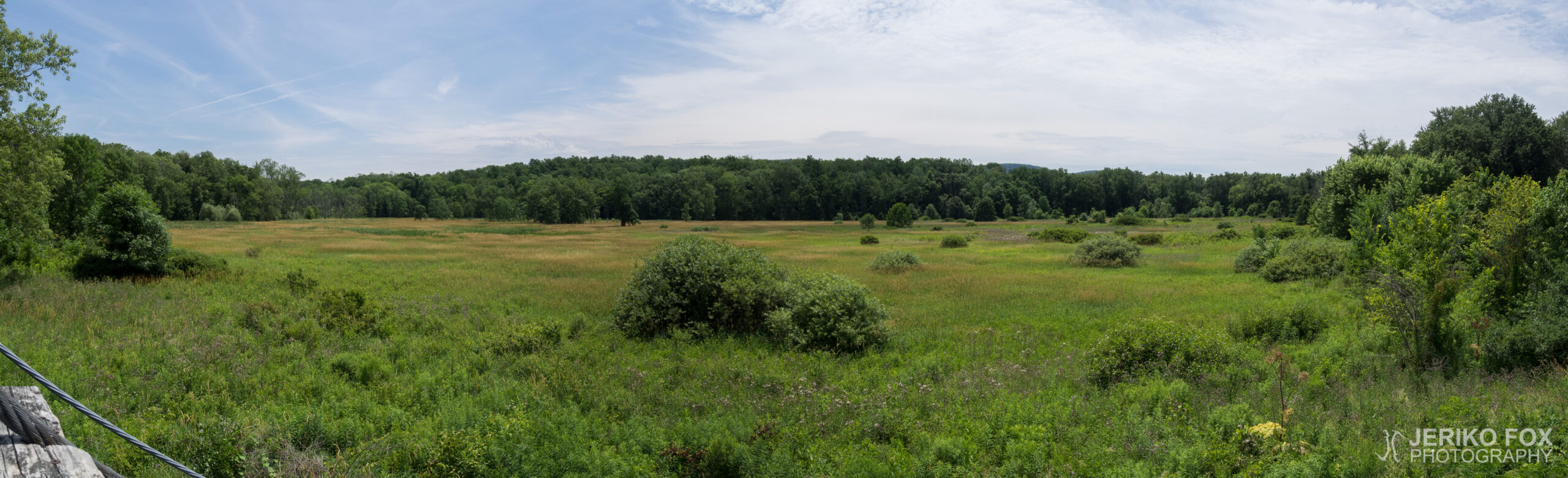 JFRM-2017-07-9386-Pano