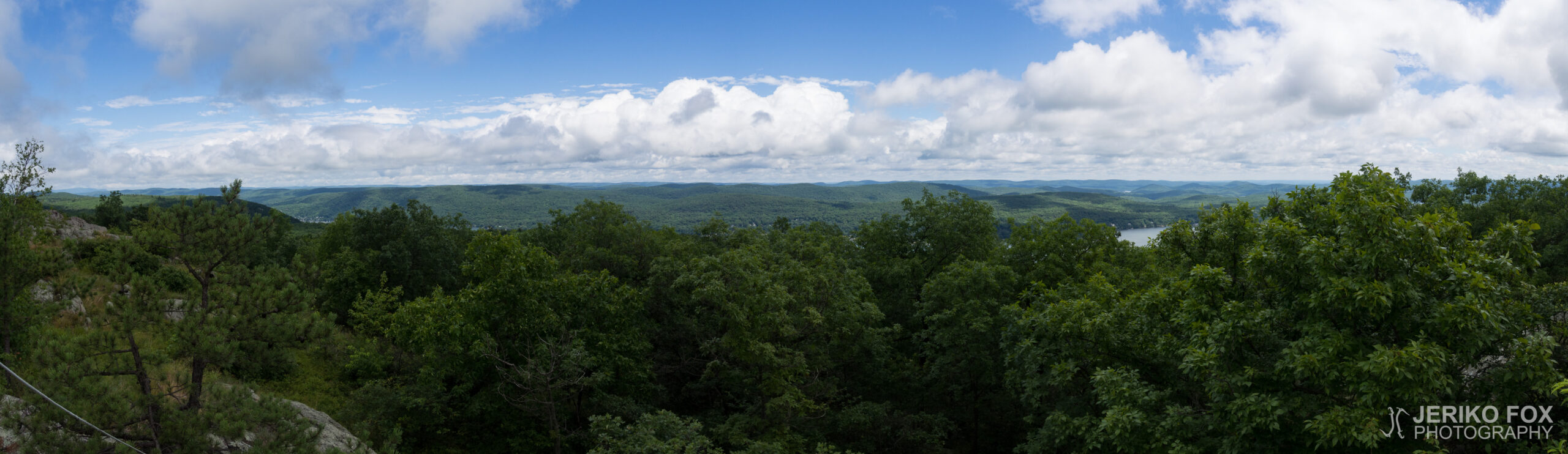 JFRM-2017-07-9417-Pano