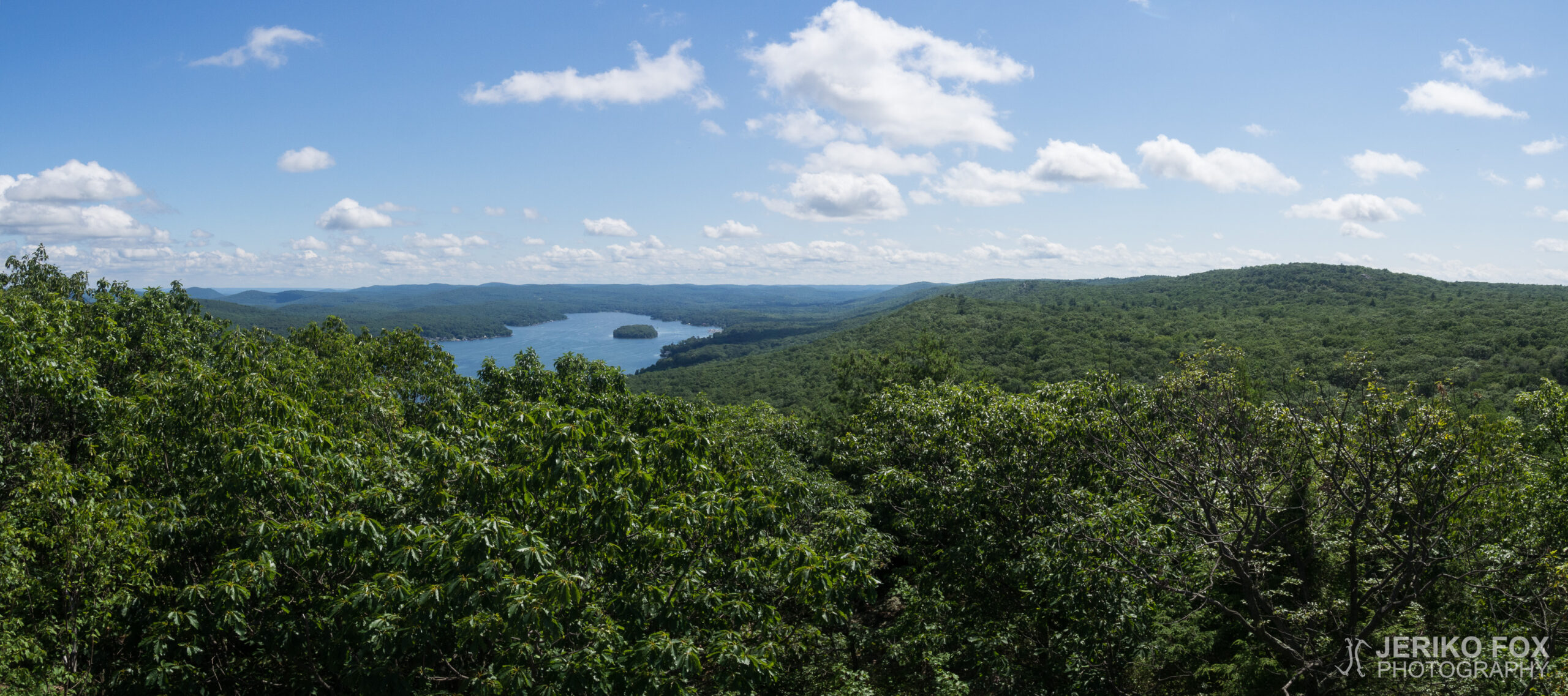 JFRM-2017-07-9428-Pano