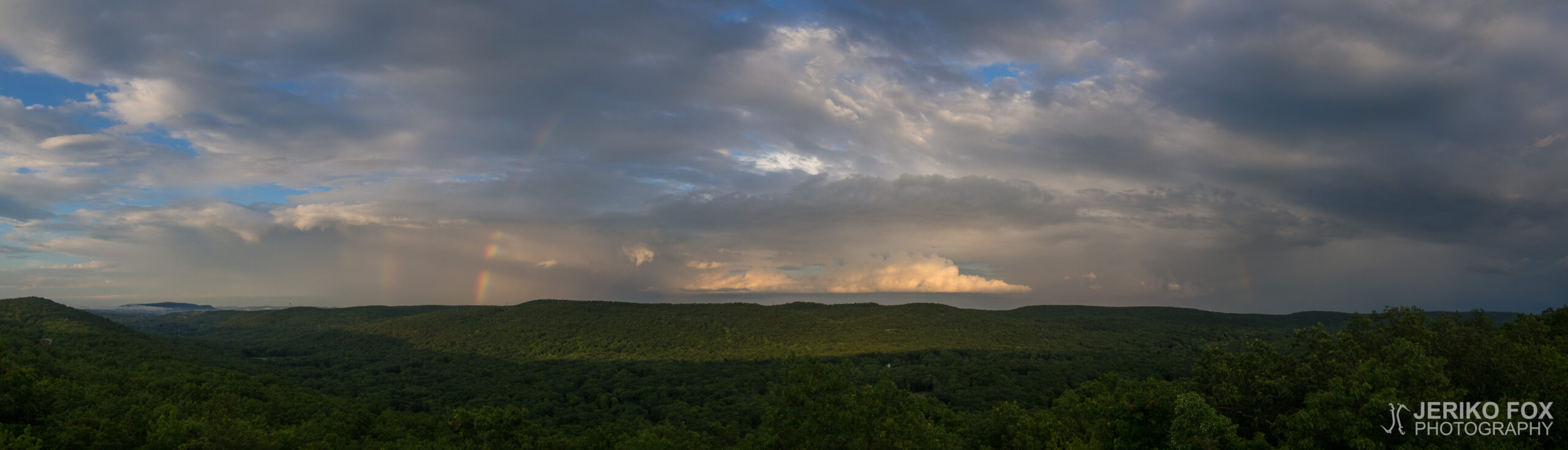 JFRM-2017-07-9438-Pano