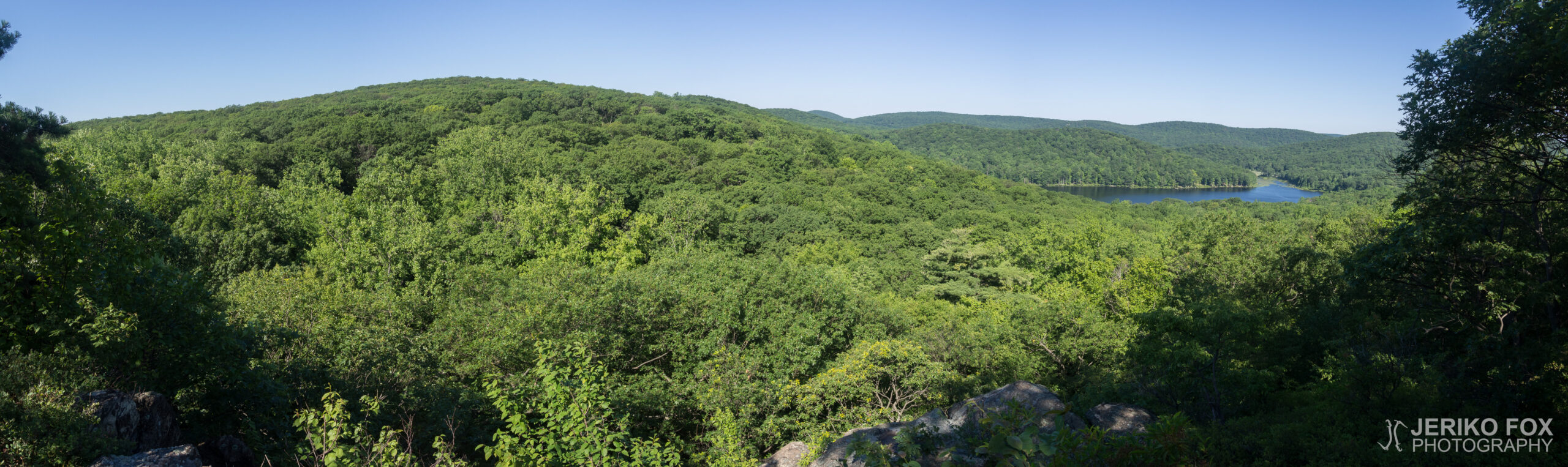 JFRM-2017-07-9483-Pano