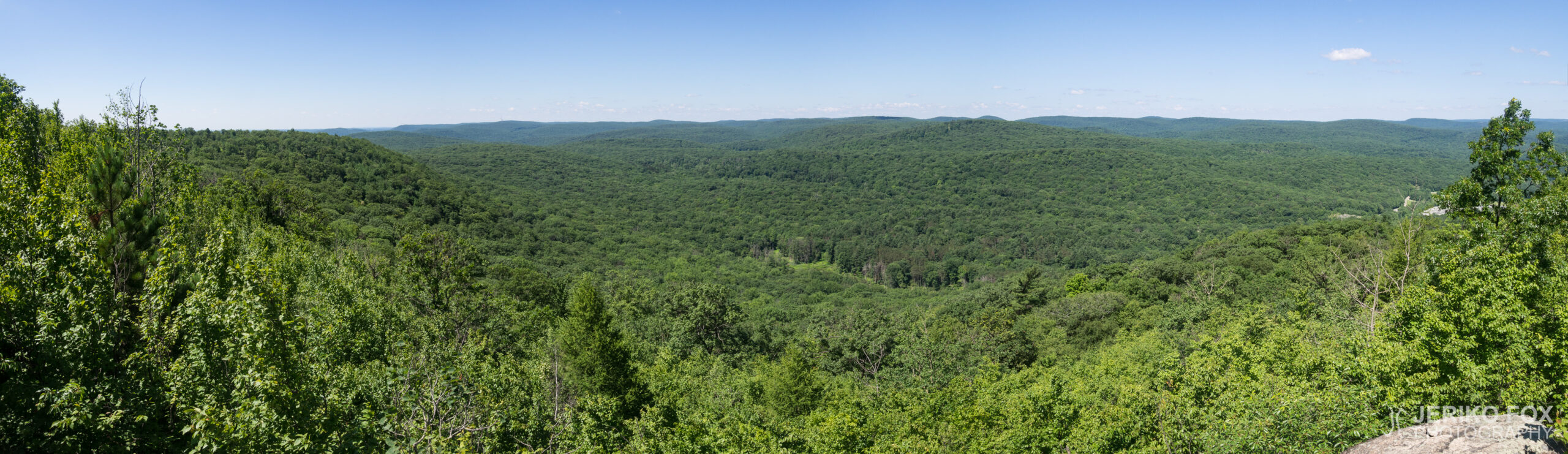 JFRM-2017-07-9491-Pano