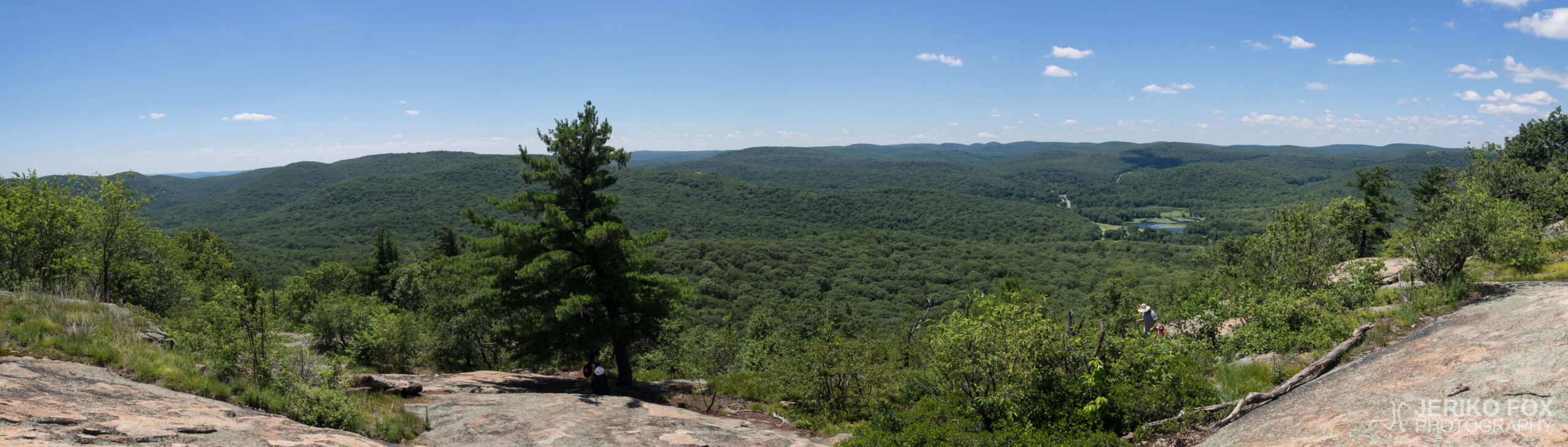JFRM-2017-07-9502-Pano