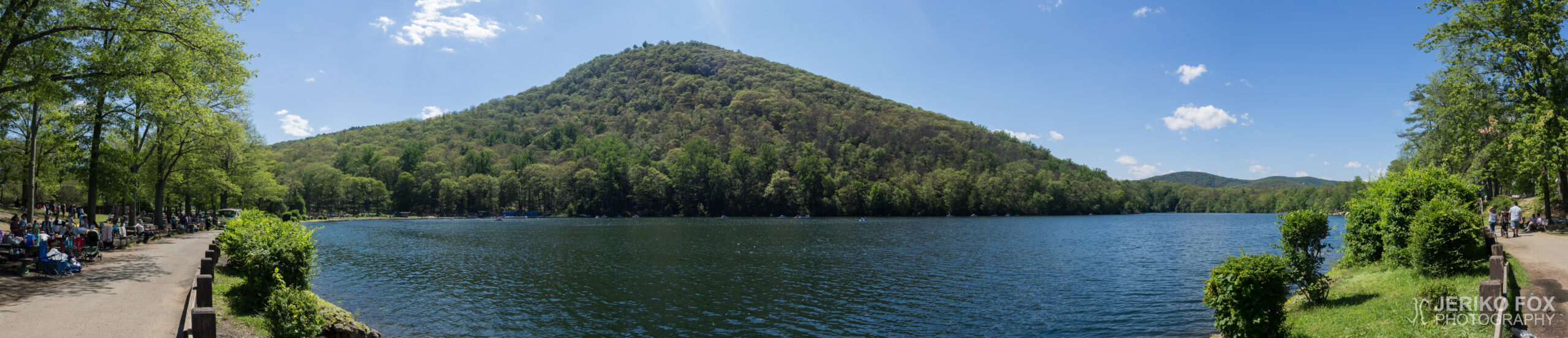 JFRM-2017-07-9523-Pano