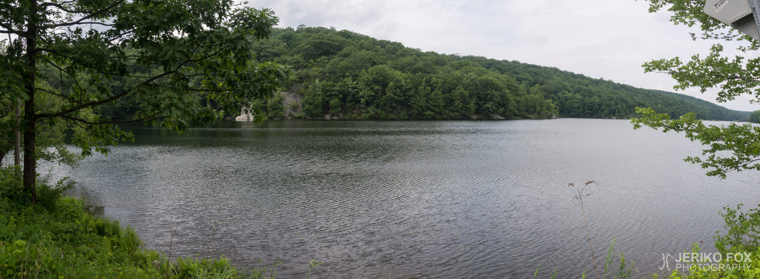JFRM-2017-07-9577-Pano