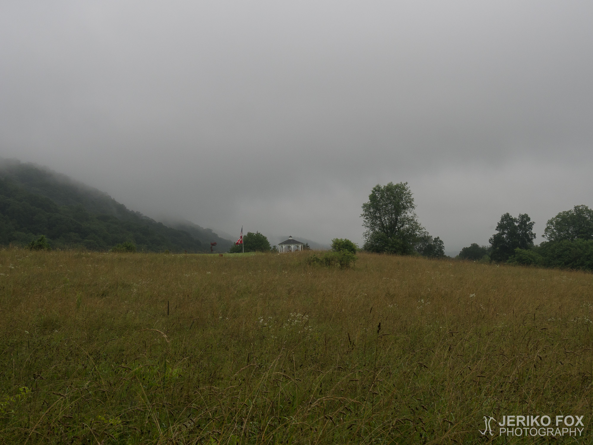 JFRM-2017-07-9634
