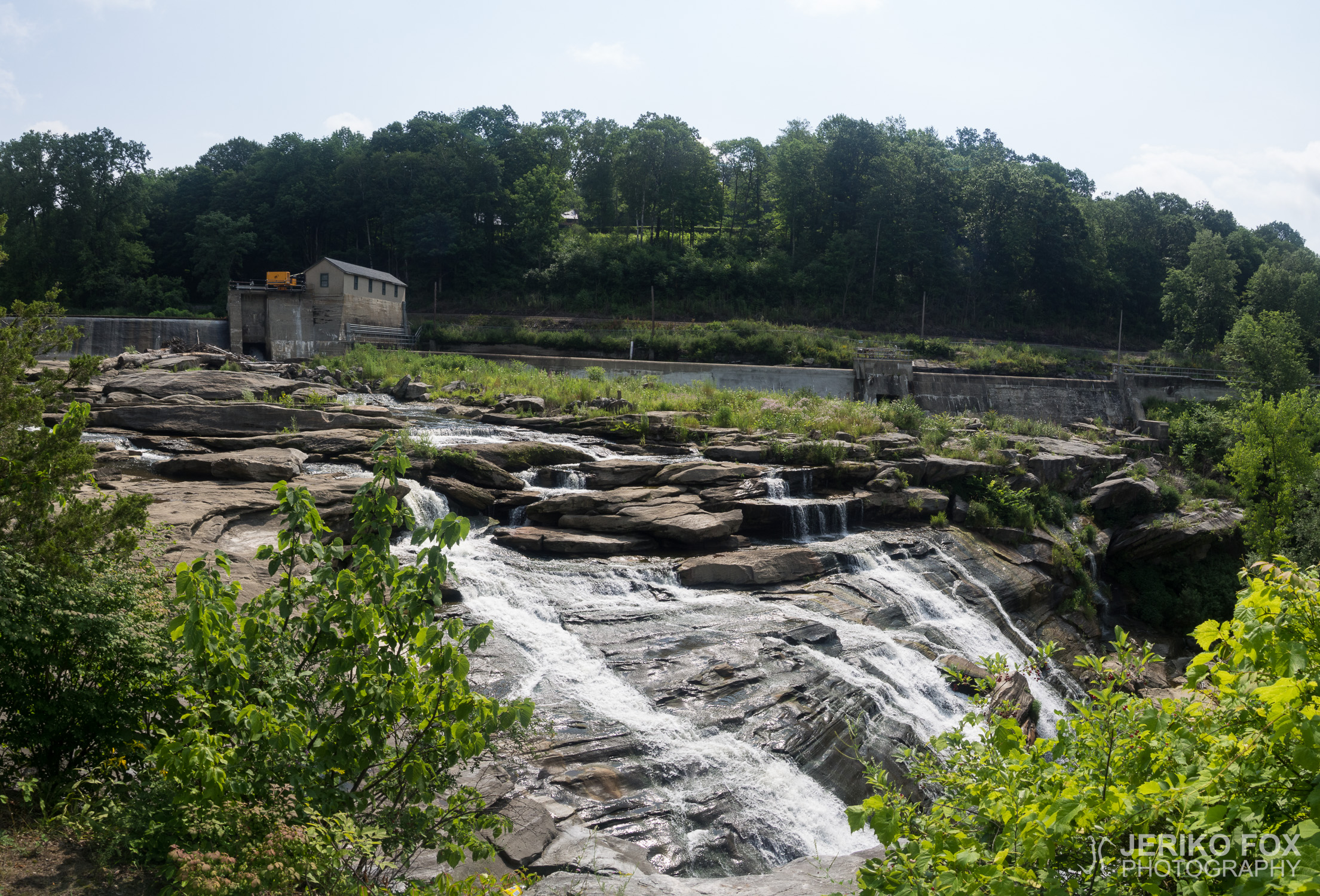 JFRM-2017-07-9703-Pano