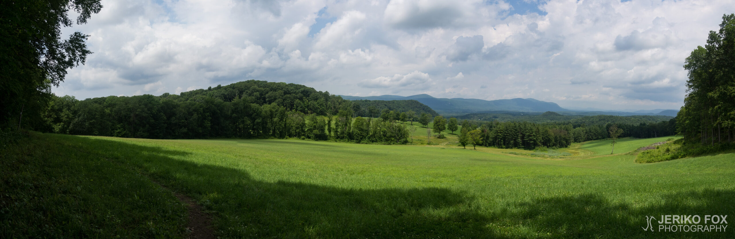 JFRM-2017-07-9713-Pano