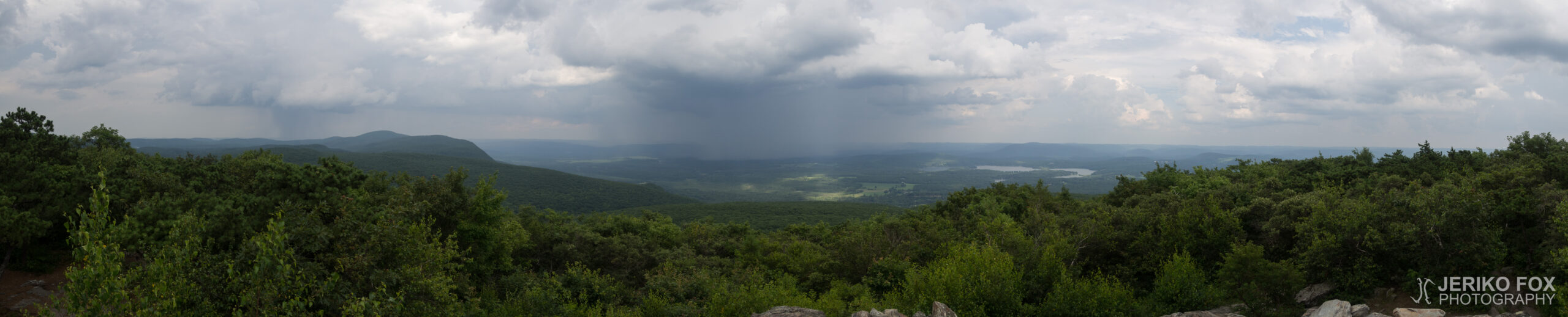 JFRM-2017-07-9740-Pano