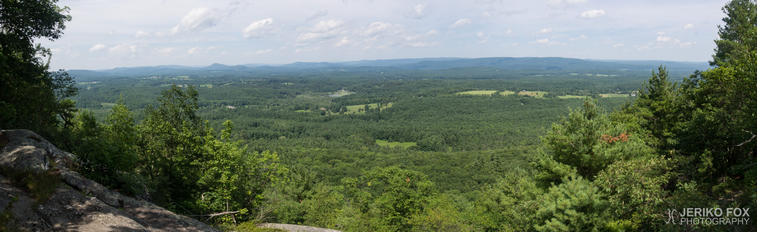 JFRM-2017-07-9771-Pano