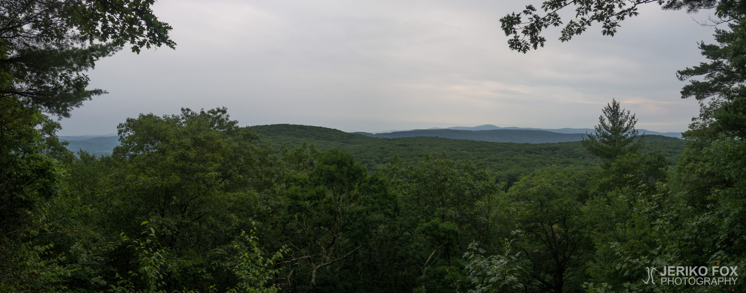 JFRM-2017-07-9790-Pano