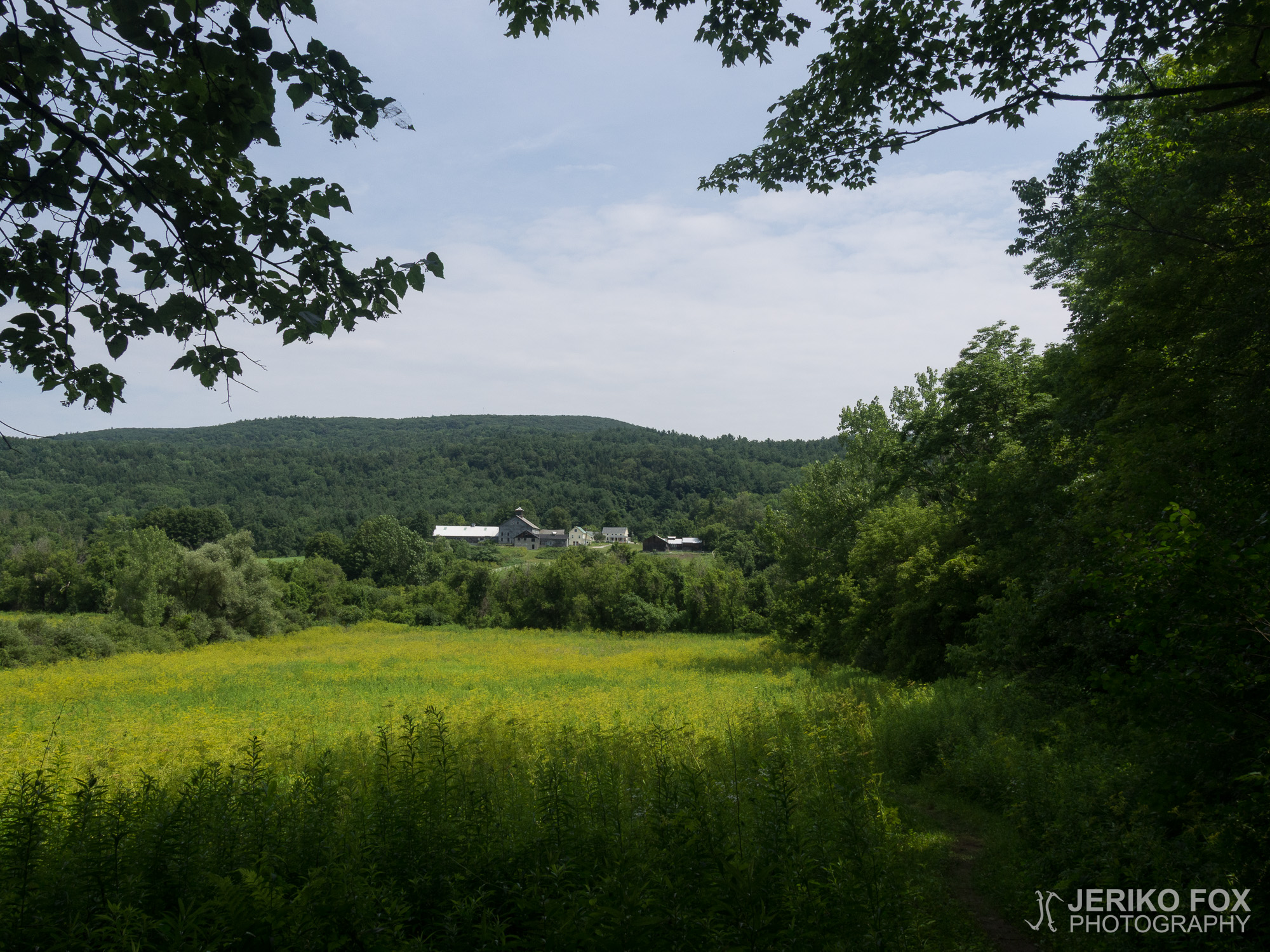 JFRM-2017-07-9796