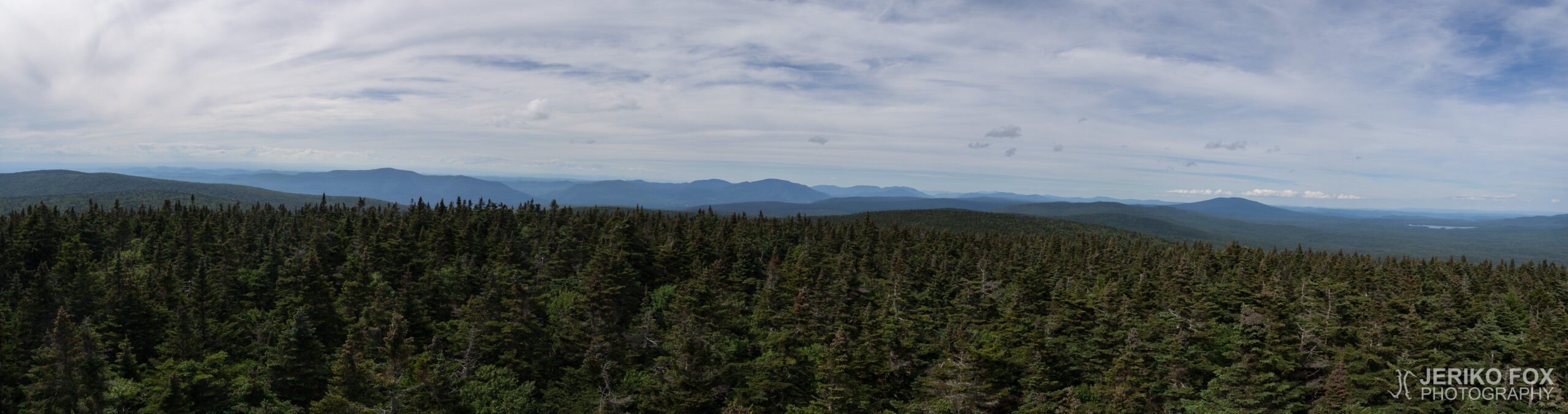 JFRM-2017-07-9913-Pano