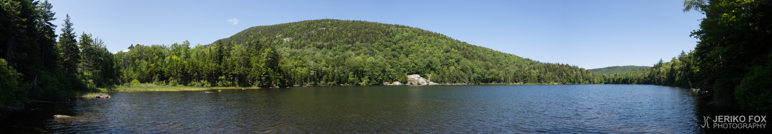 JFRM-2017-08-0004-Pano
