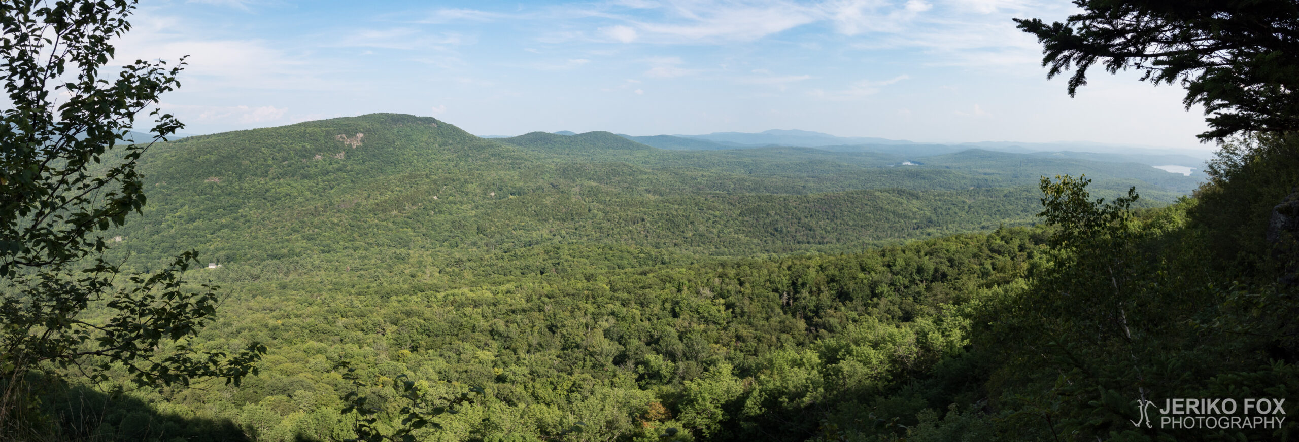 JFRM-2017-08-0119-Pano