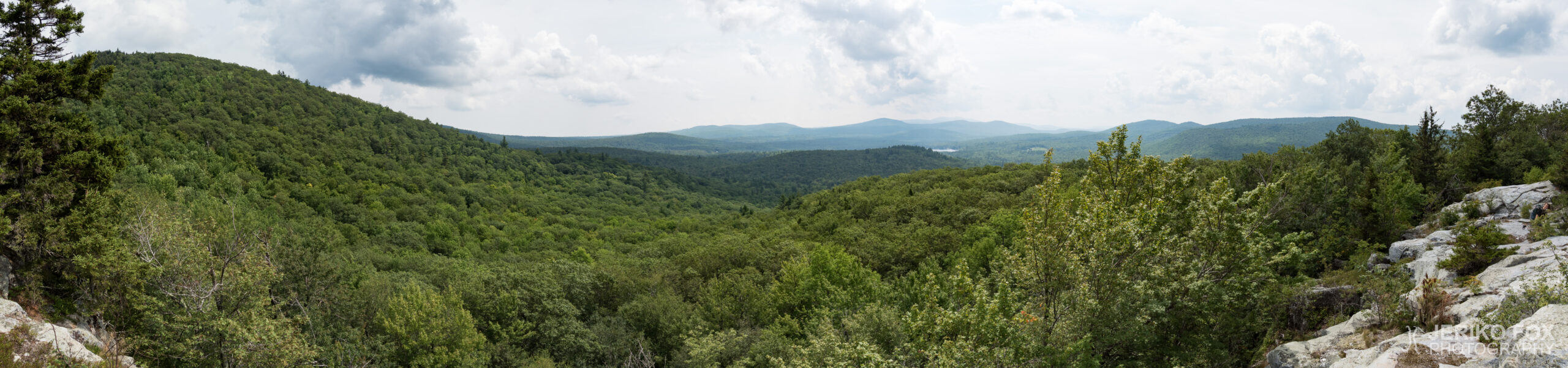 JFRM-2017-08-0129-Pano