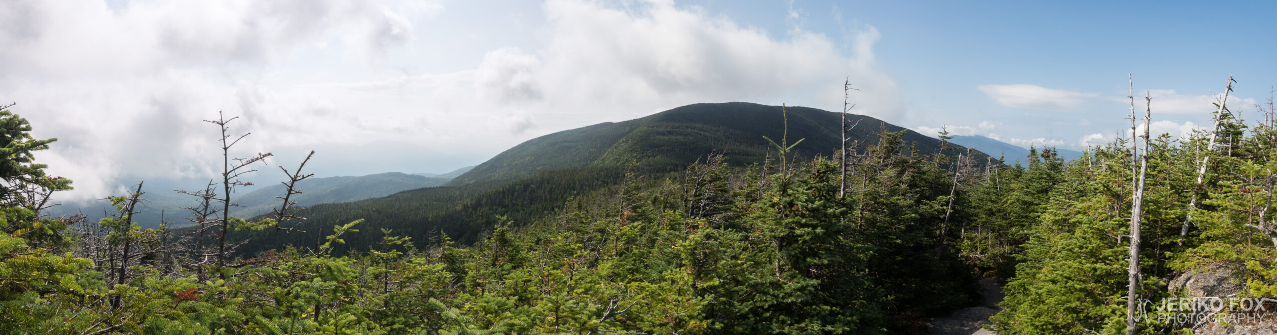 JFRM-2017-08-0253-Pano