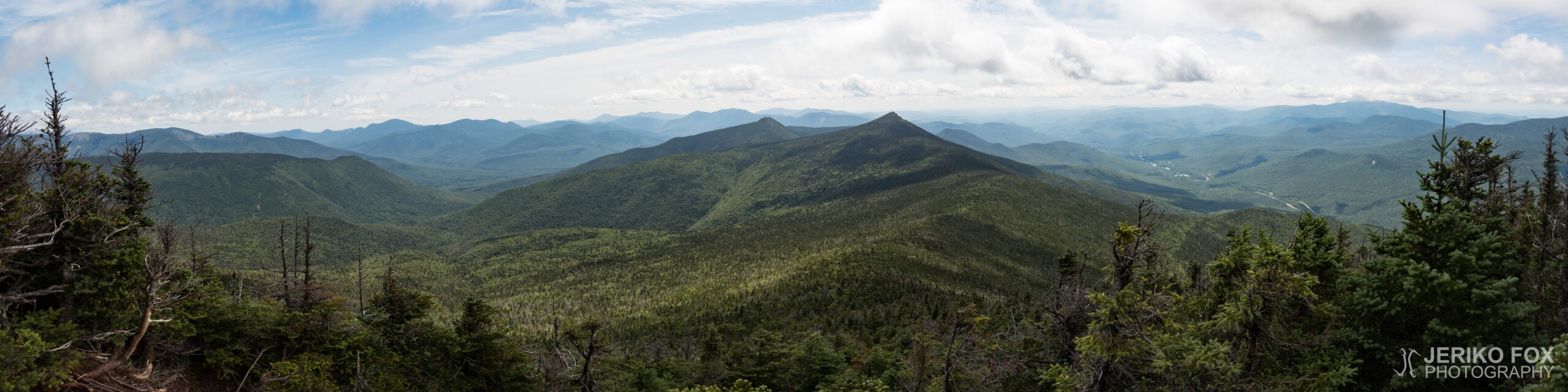 JFRM-2017-08-0283-Pano