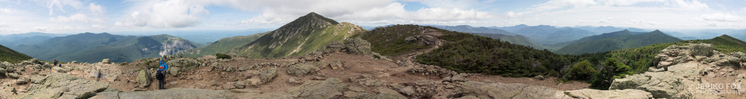 JFRM-2017-08-0289-Pano