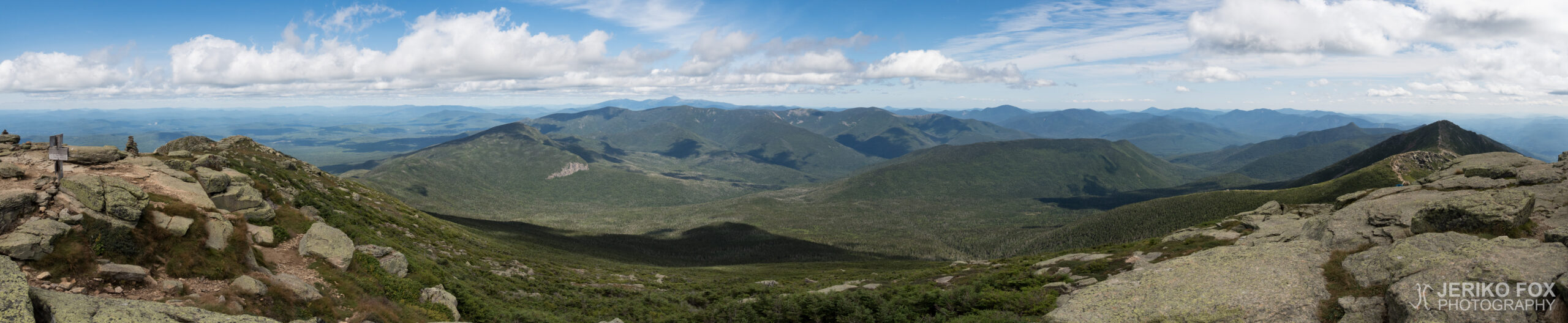JFRM-2017-08-0314-Pano