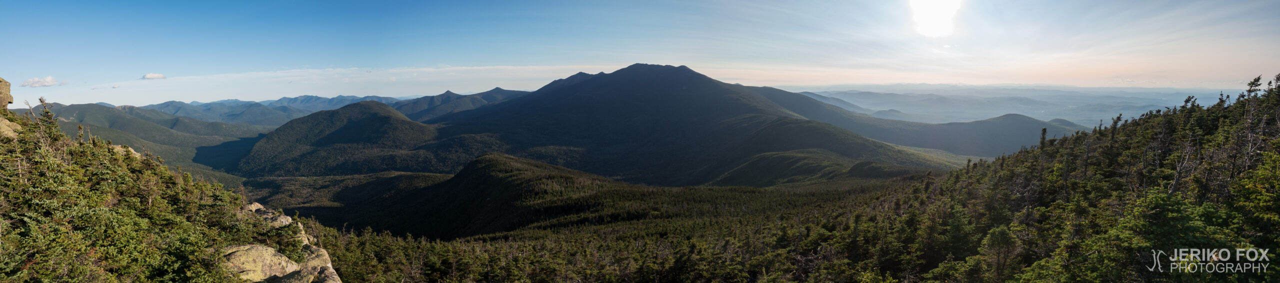 JFRM-2017-08-0336-Pano