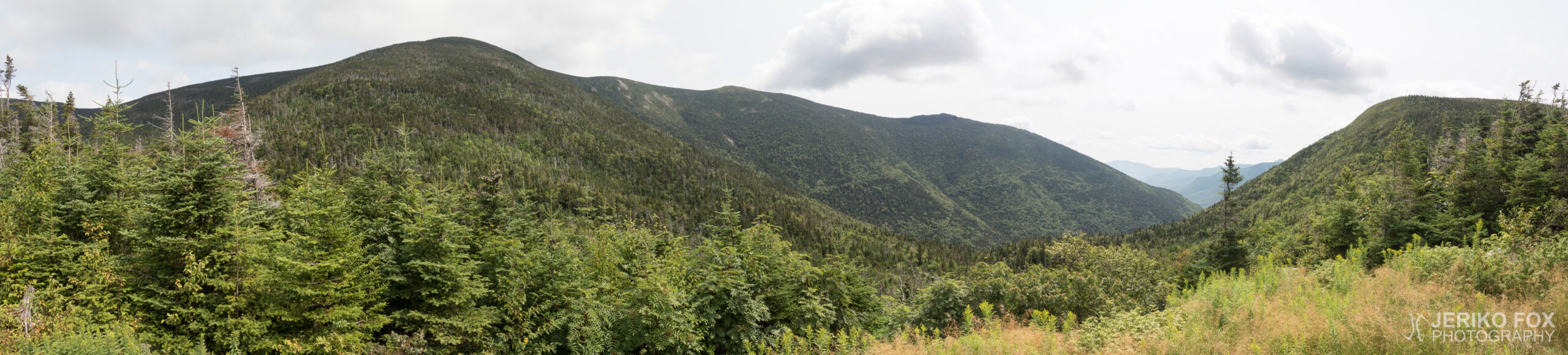 JFRM-2017-08-0361-Pano