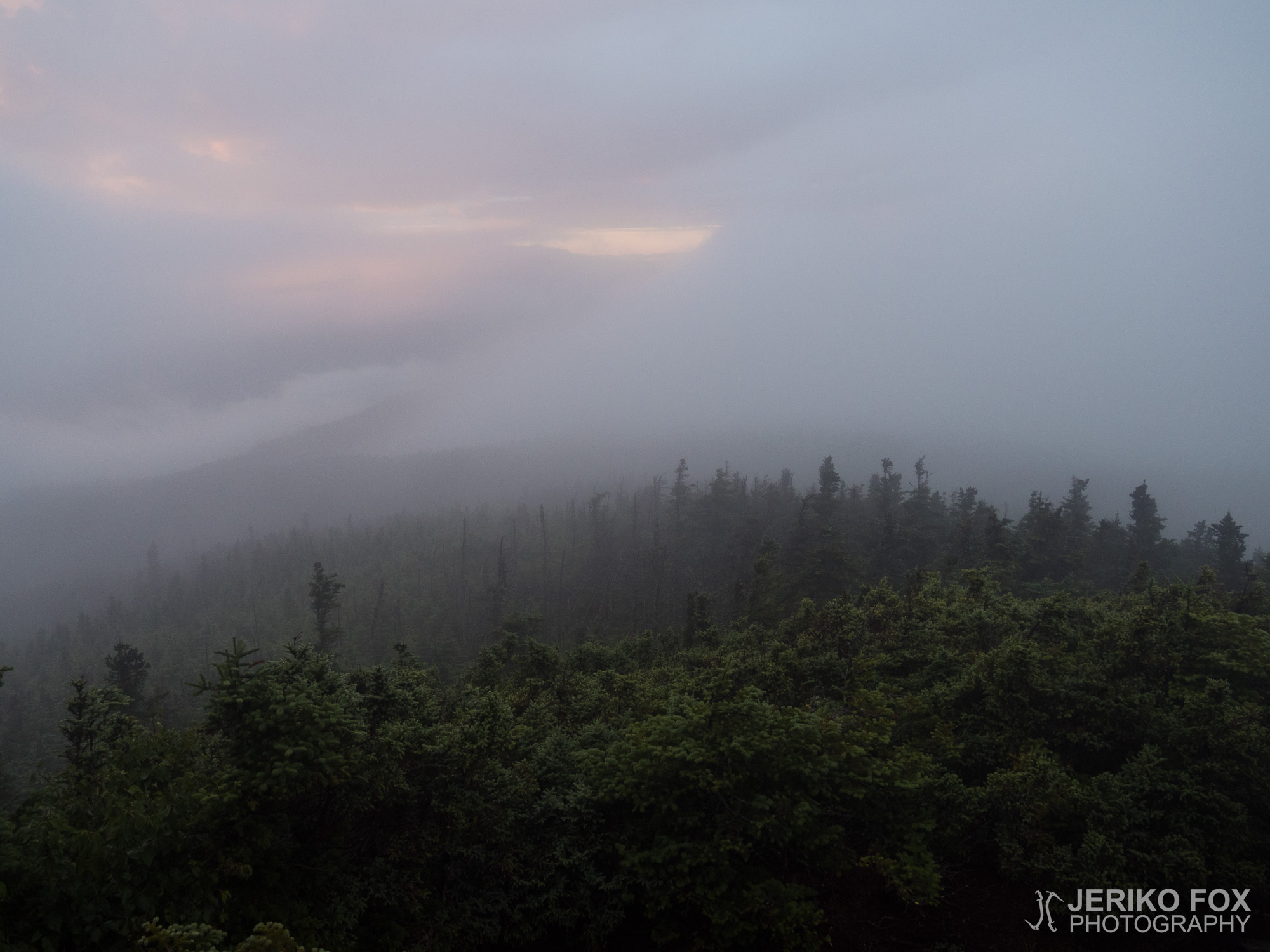 JFRM-2017-08-0392