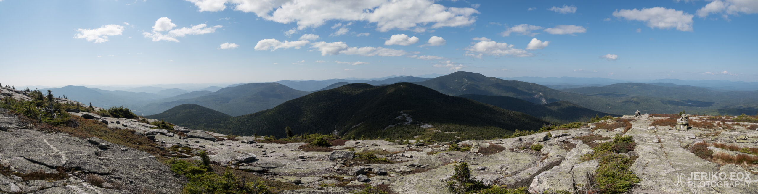 JFRM-2017-08-0692-Pano