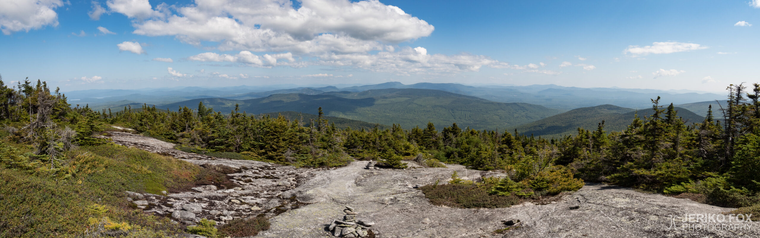 JFRM-2017-08-0701-Pano