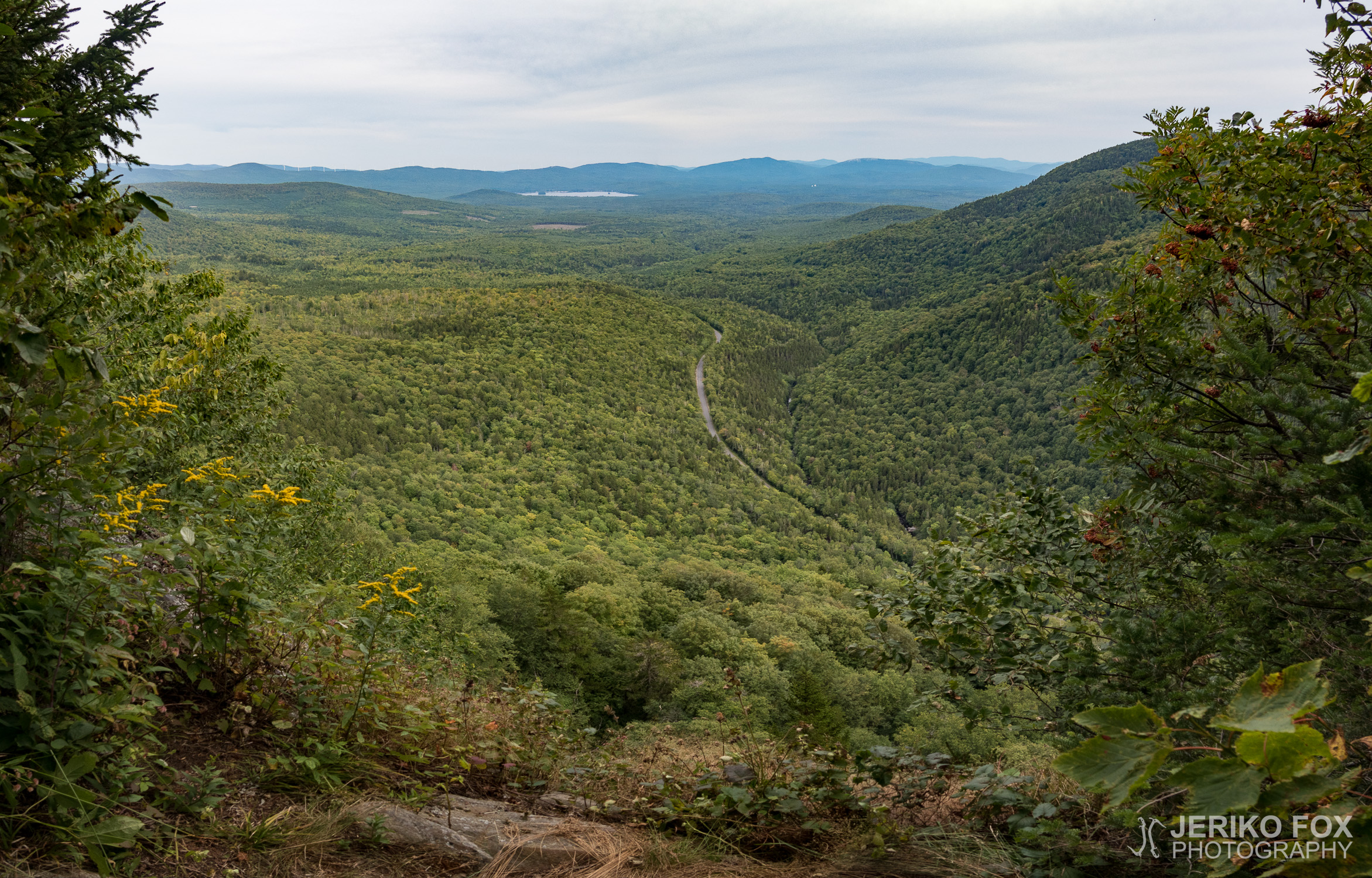 JFRM-2017-08-0723-Pano