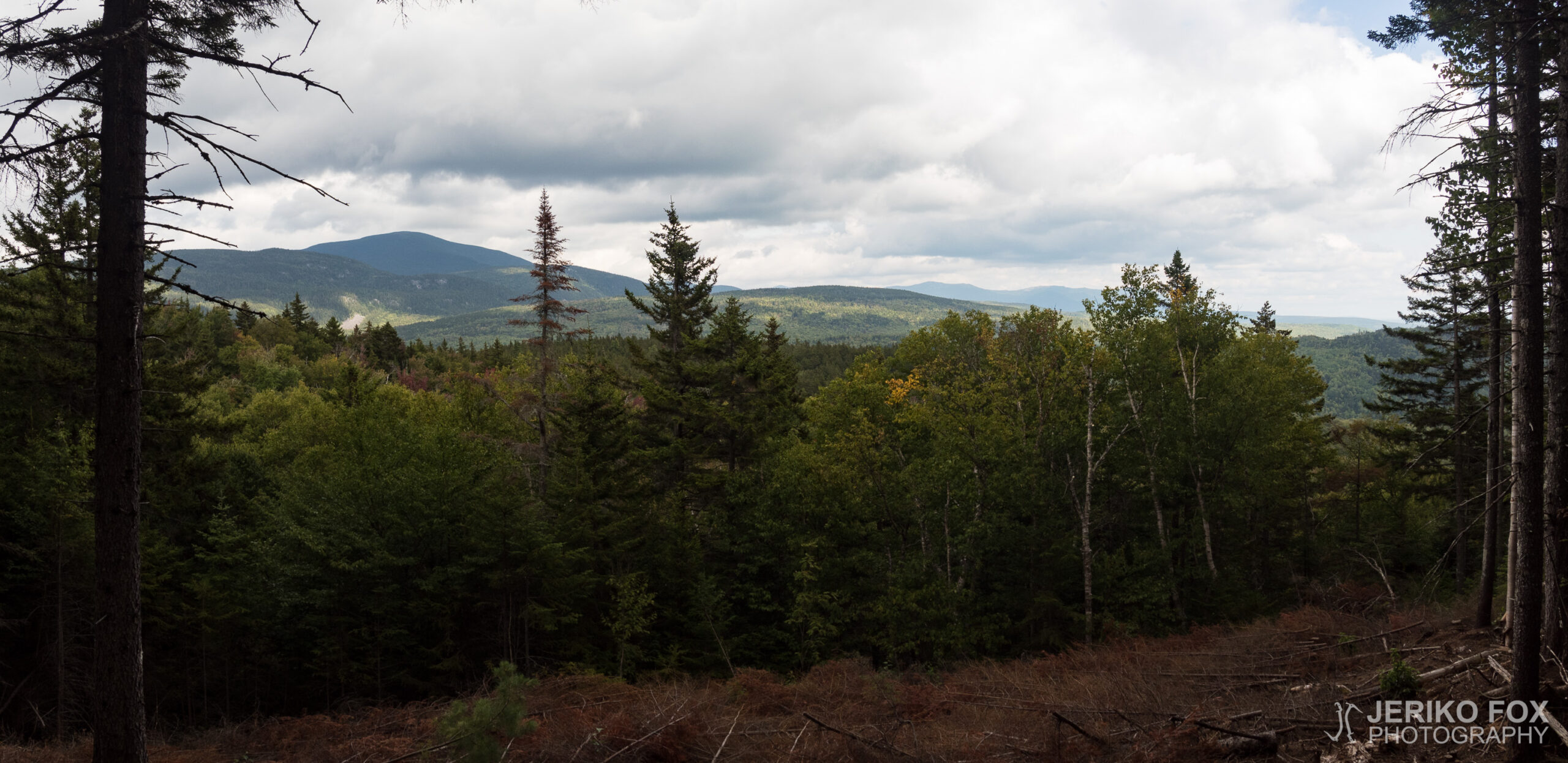 JFRM-2017-08-0759-Pano