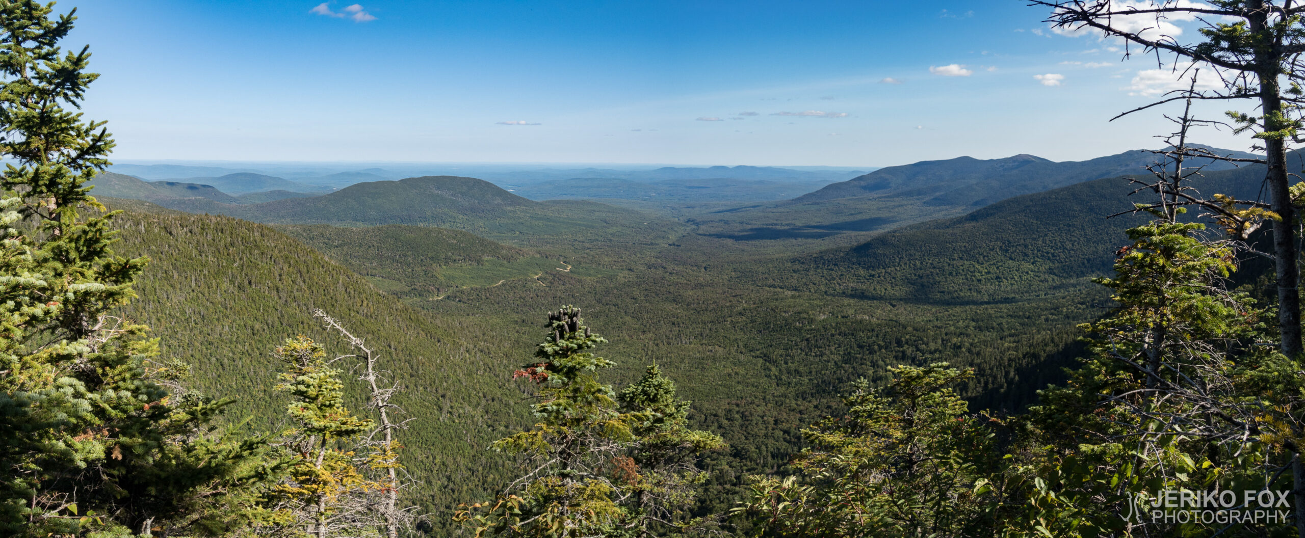 JFRM-2017-09-0819-Pano