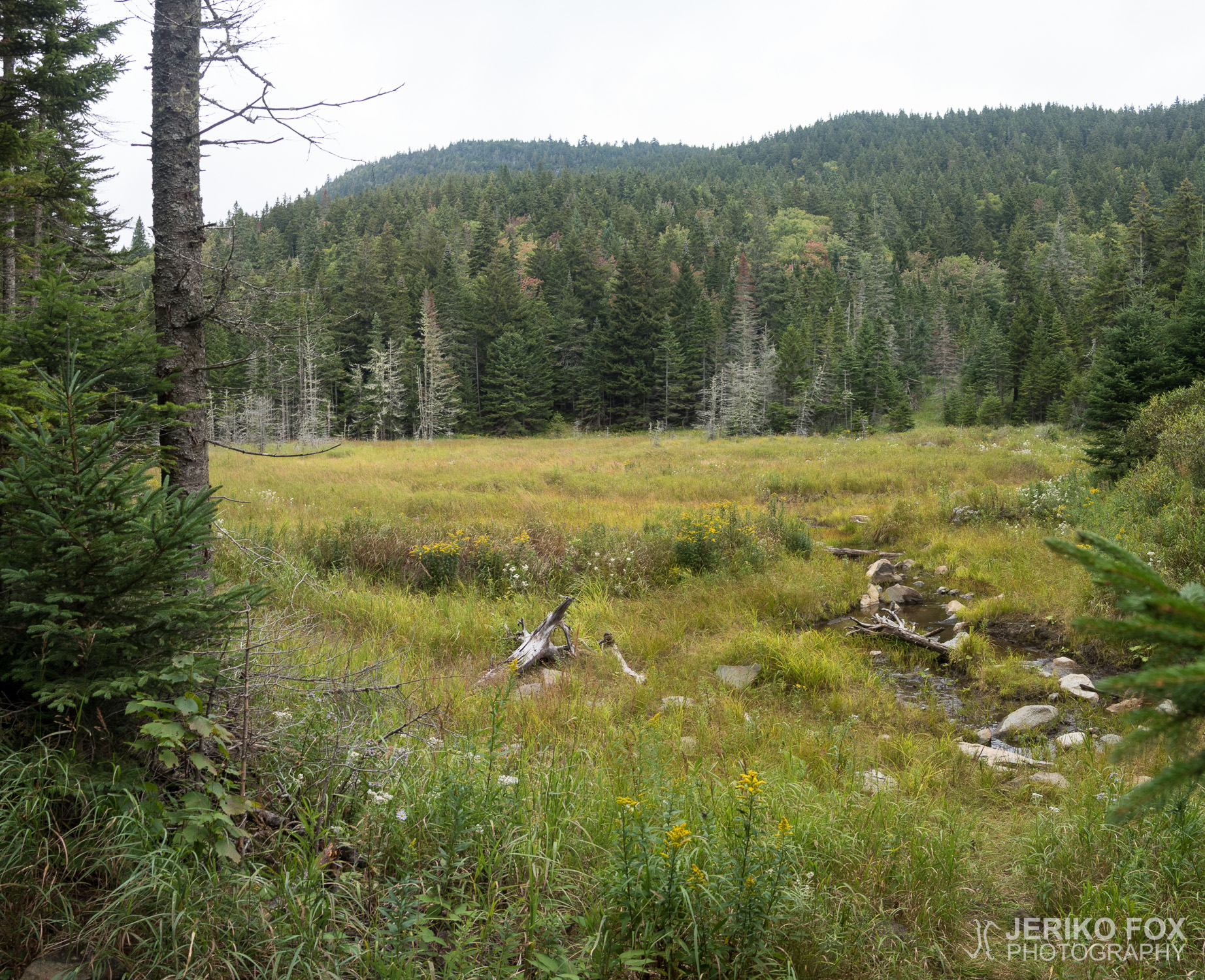 JFRM-2017-09-0840-Pano