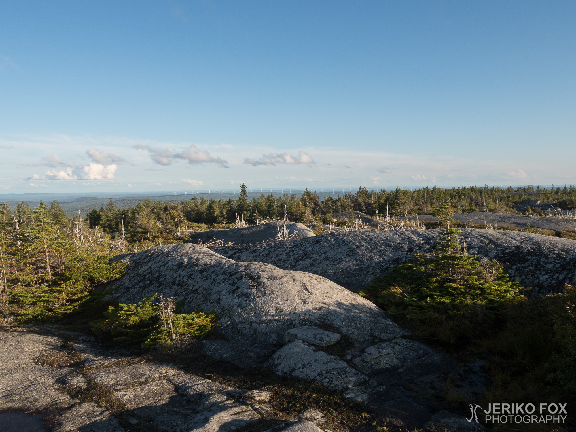 JFRM-2017-09-0949