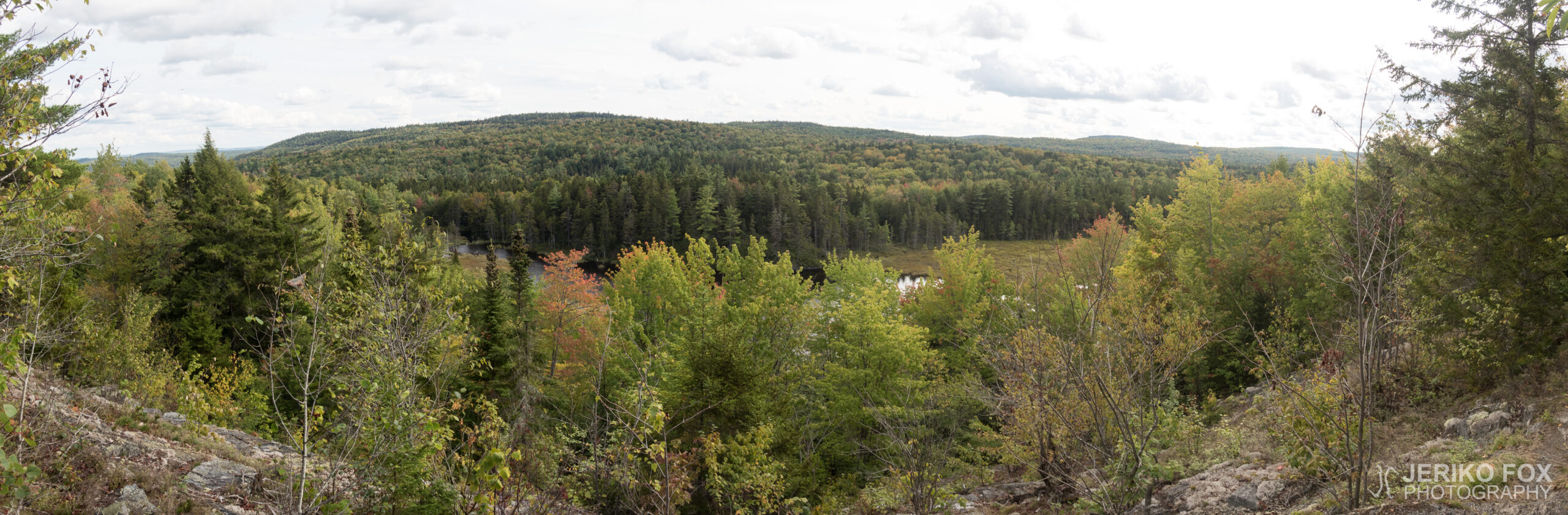 JFRM-2017-09-1007-Pano