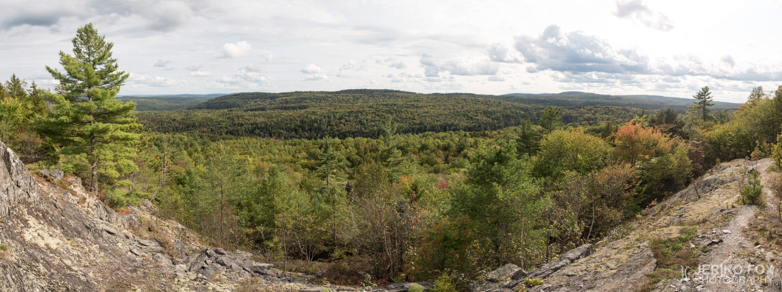JFRM-2017-09-1012-Pano