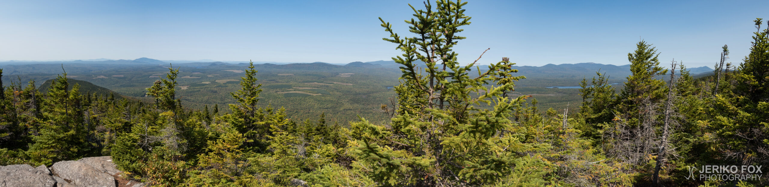 JFRM-2017-09-1033-Pano