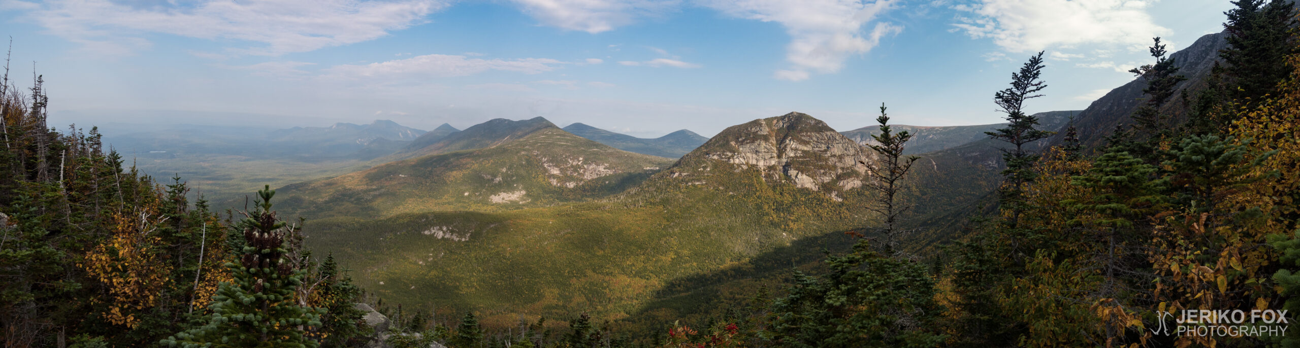 JFRM-2017-09-1161-Pano
