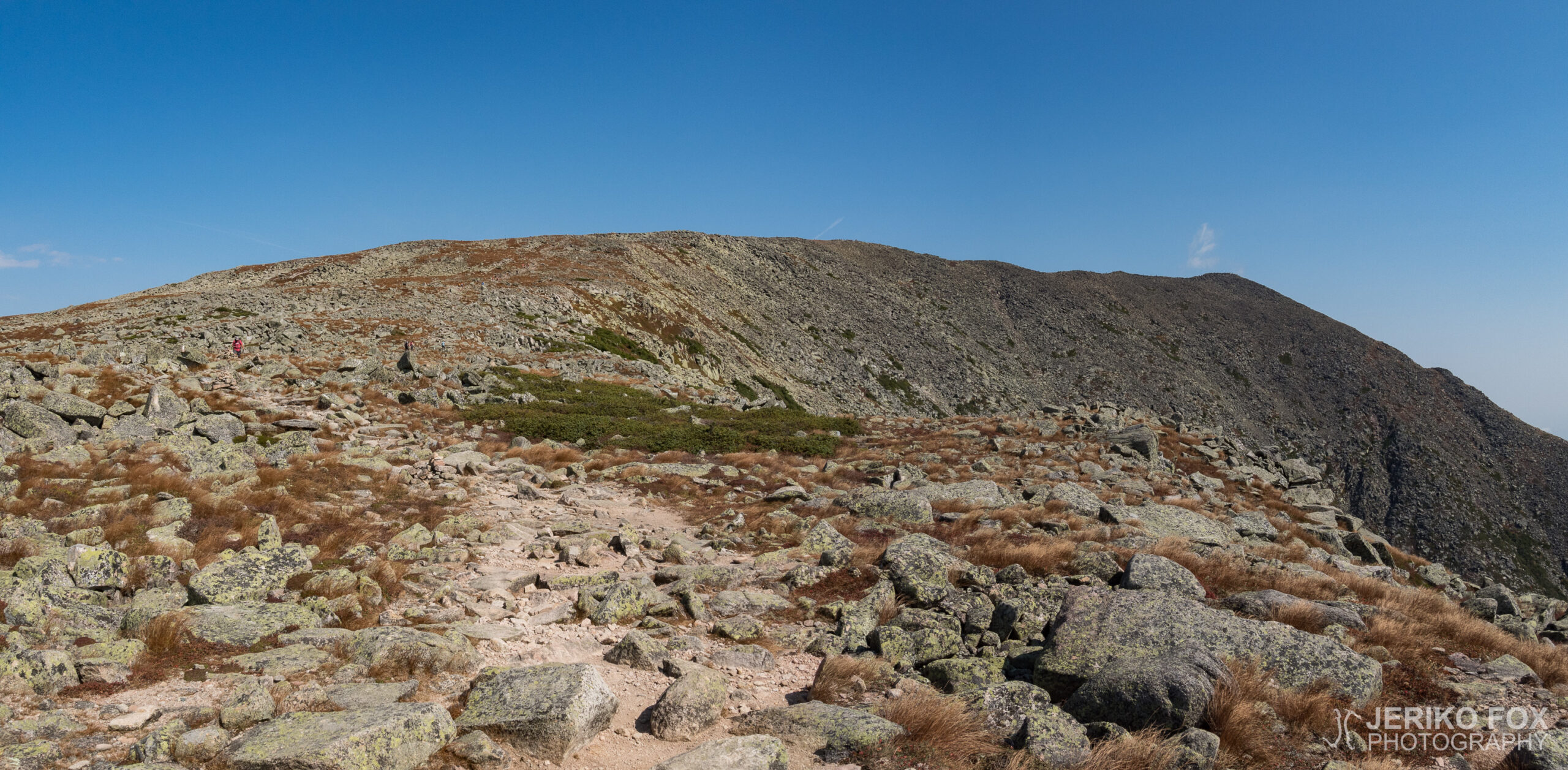 JFRM-2017-09-1185-Pano